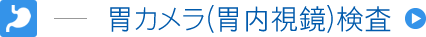 胃カメラ（胃内視鏡）検査